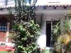 Foto de Casa_cuernavaca-renta de cuartos