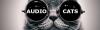 Foto de Audio e iluminacion cats