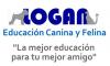 Foto de Educacin  canina  y  felina logan