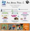 Foto de Educacin canina  y felina  Logan