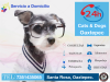 Foto de Clinica veterinaria Cats & Dogs Oaxtepec